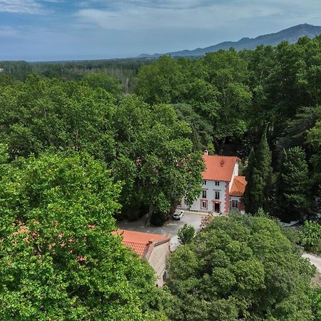 Gites Du Castell De Bles Saint-Genis-des-Fontaines Екстер'єр фото