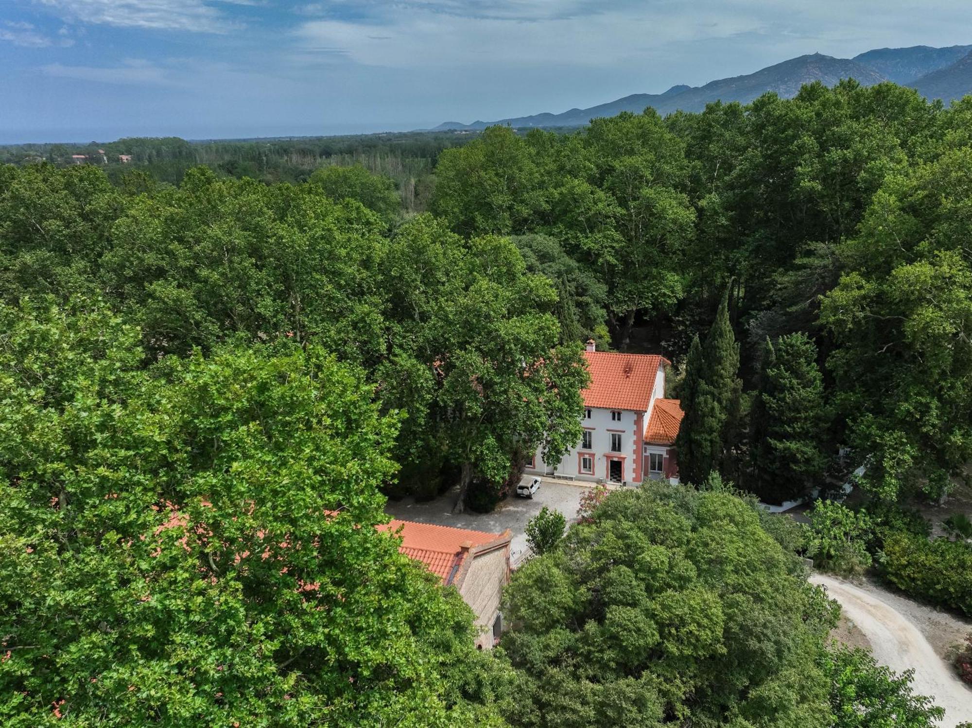 Gites Du Castell De Bles Saint-Genis-des-Fontaines Екстер'єр фото